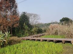 -长田漾湿地公园