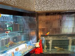 -苏淮景·苏闽融创菜·海鲜(原空港井河轩店)