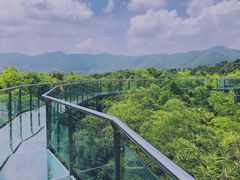 -陶祖圣境风景区