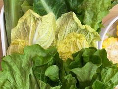 -潮正和潮汕牛肉火锅·老字号(番禺万达店)