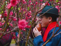 -桃花涧