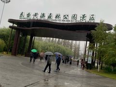 -黄海国家森林公园