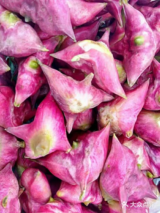 苏州水红菱的做法(剥好的水红菱怎么保存)