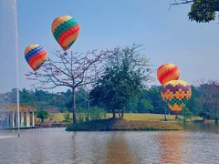 -中国科学院西双版纳热带植物园