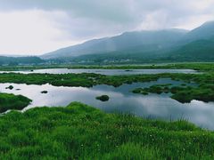 -腾冲北海湿地