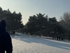 -北陵公园