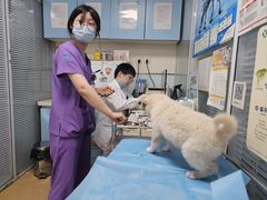 -瑞派·关忠动物医院·猫专科·犬专科(三环新城店)