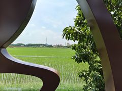 -中山大学附属第三医院(天河院区)