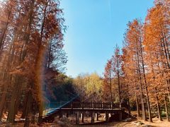 -宝界山林公园