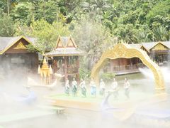 -西双版纳原始森林公园