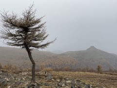 -灵山