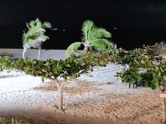 -渔家火锅·海鲜自助餐·演艺(亚龙湾天域酒店)