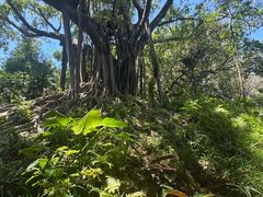 -九龙公园