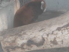 -泉州海丝野生动物世界