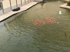 -行者书屋大堂吧 ·下午茶(南京圣和府邸酒店)