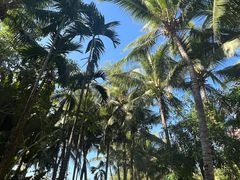 -三亚湾海居铂尔曼度假酒店