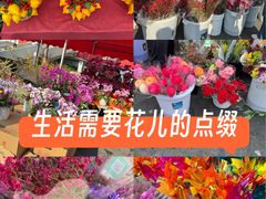 -天河体育中心