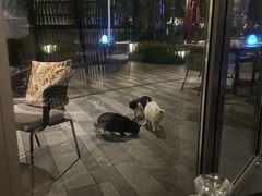 -杭州君悦酒店·青莳