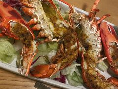 波士顿龙虾-EN SPACE恩空间