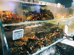波士顿龙虾-超级物种(省府店)