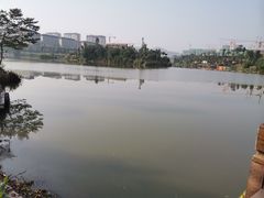 -枫香湖儿童公园