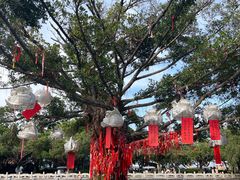 -南沙天后宫景区