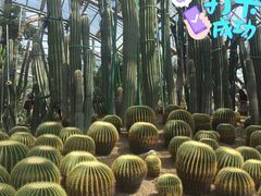 -南山植物园