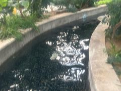 -郑州银基黄帝宫御温泉