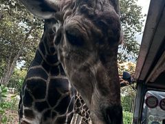 -清迈夜间动物园