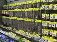 -HOWOW·D2Y(柏威年店)