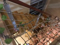 -CC猫狗洗浴·猫咪寄养酒店