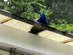 -黔灵山公园