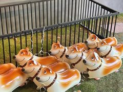 -J Create城市露营咖啡·简餐·宠物(上海动物园店)