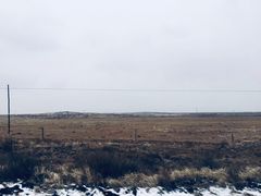 -迎宾楼(解放西街店)