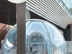 -半岛听涛蒸汽海鲜自助(K11店)