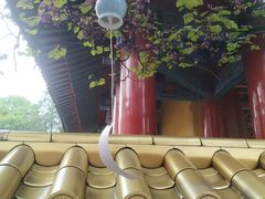 -西安市广仁寺