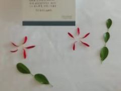-青岛城阳宝龙福朋喜来登酒店