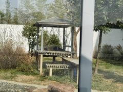 -苏州太湖国家湿地公园