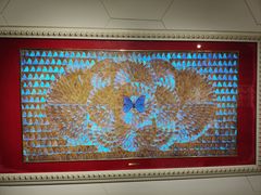 -上海昆虫博物馆