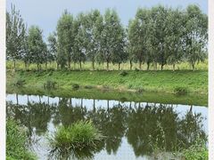 -东郊湿地公园