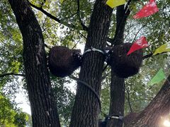 -船政文化景区-罗星塔公园