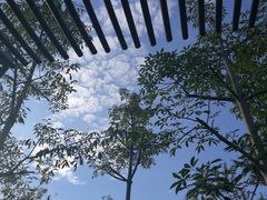 -飞凤山奥体公园