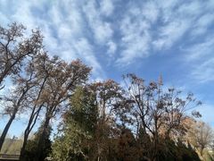 -张掖大佛寺景区