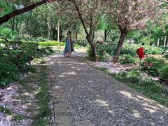 -洛阳市隋唐城遗址植物园