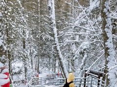 -峡谷浮石林景区