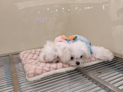 -潇湘阁(汉光百货店)