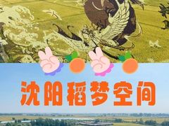 -稻梦空间