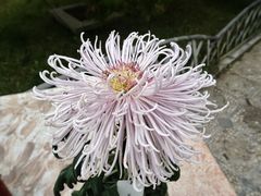 -国家植物园