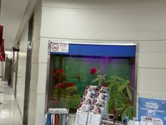 -雅悦齿科(顾村公园店)