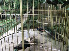-重庆九凤瑶池海明山庄